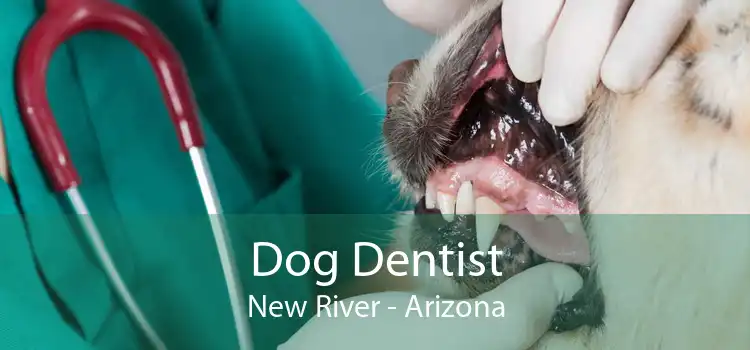 Dog Dentist New River - Arizona