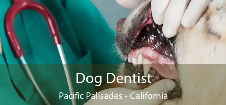 Dog Dentist Pacific Palisades - California