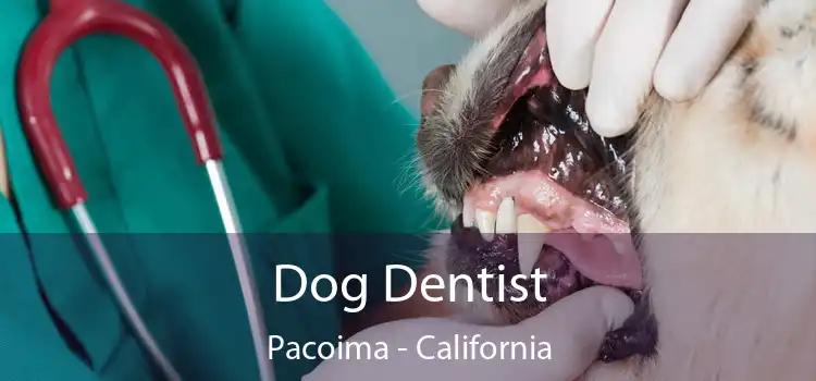 Dog Dentist Pacoima - California