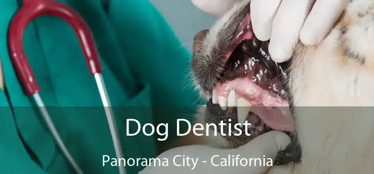 Dog Dentist Panorama City - California