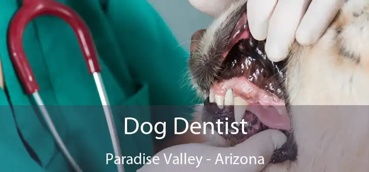 Dog Dentist Paradise Valley - Arizona