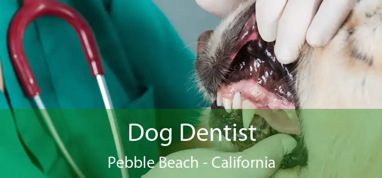 Dog Dentist Pebble Beach - California