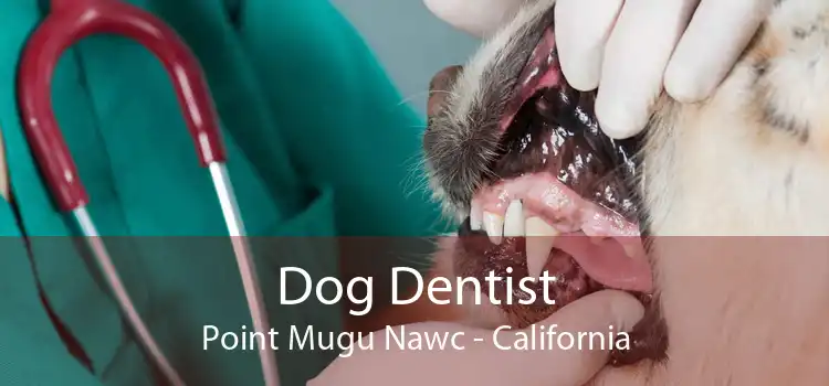 Dog Dentist Point Mugu Nawc - California