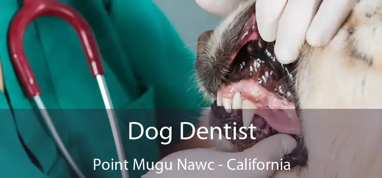 Dog Dentist Point Mugu Nawc - California