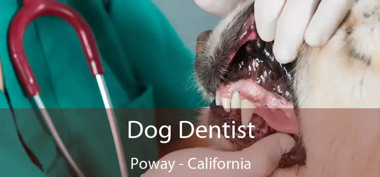 Dog Dentist Poway - California
