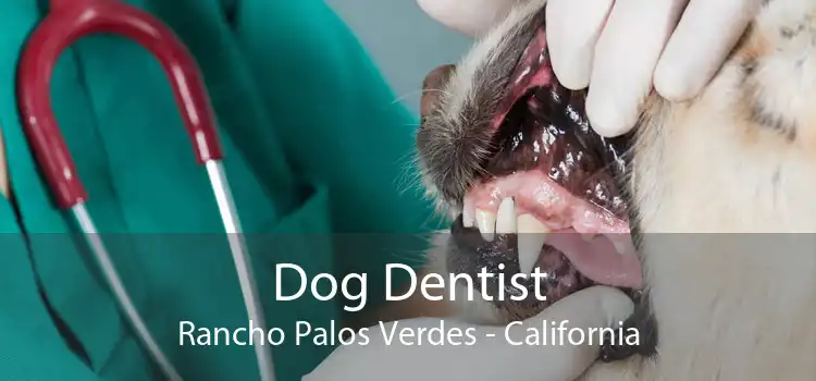 Dog Dentist Rancho Palos Verdes - California