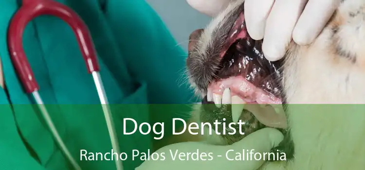 Dog Dentist Rancho Palos Verdes - California