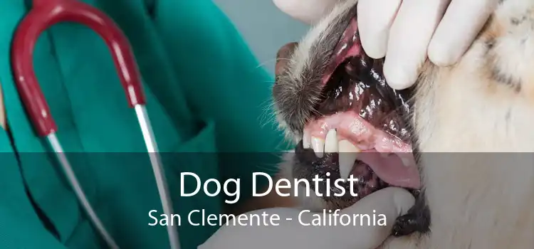 Dog Dentist San Clemente - California