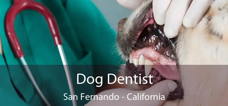 Dog Dentist San Fernando - California