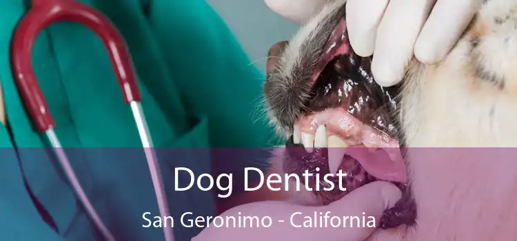 Dog Dentist San Geronimo - California
