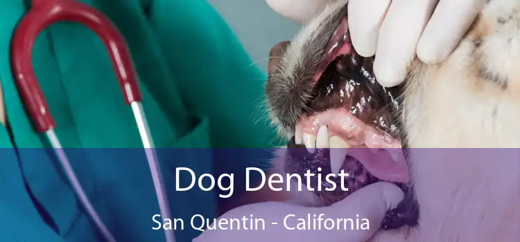 Dog Dentist San Quentin - California