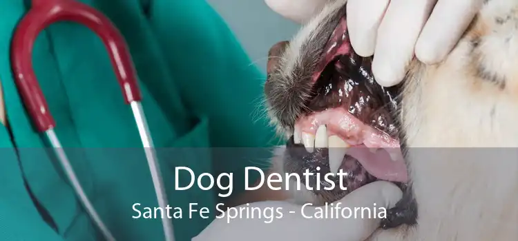 Dog Dentist Santa Fe Springs - California