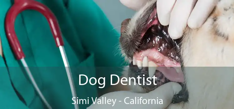 Dog Dentist Simi Valley - California