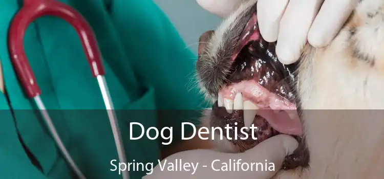 Dog Dentist Spring Valley - California