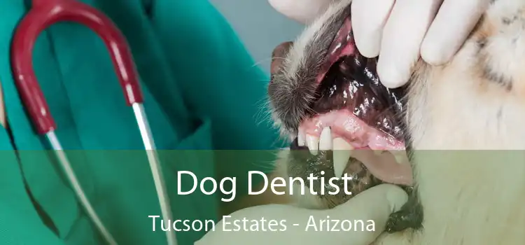 Dog Dentist Tucson Estates - Arizona