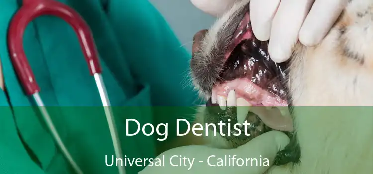 Dog Dentist Universal City - California