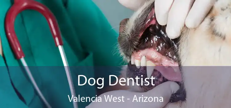 Dog Dentist Valencia West - Arizona