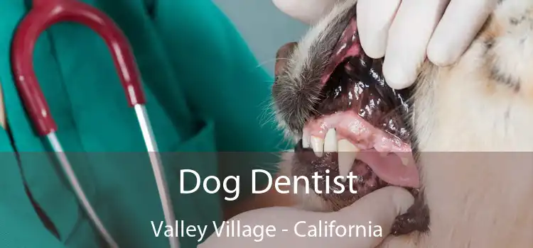 Dog Dentist Valley Village - California