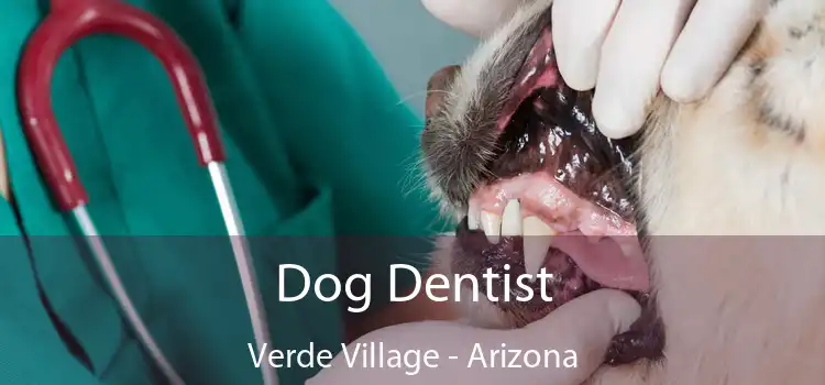 Dog Dentist Verde Village - Arizona
