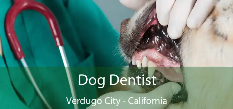 Dog Dentist Verdugo City - California