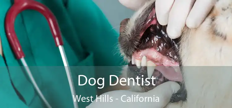 Dog Dentist West Hills - California