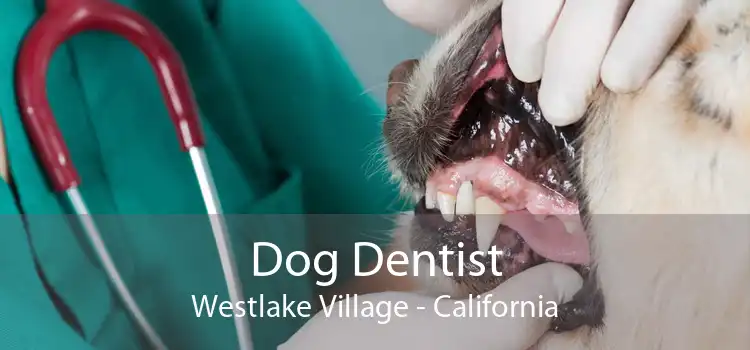 Dog Dentist Westlake Village - California