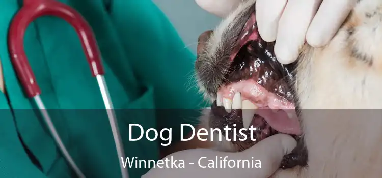 Dog Dentist Winnetka - California