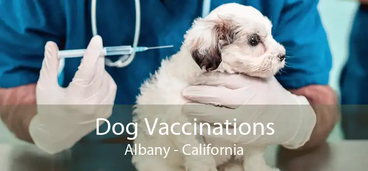 Dog Vaccinations Albany - California