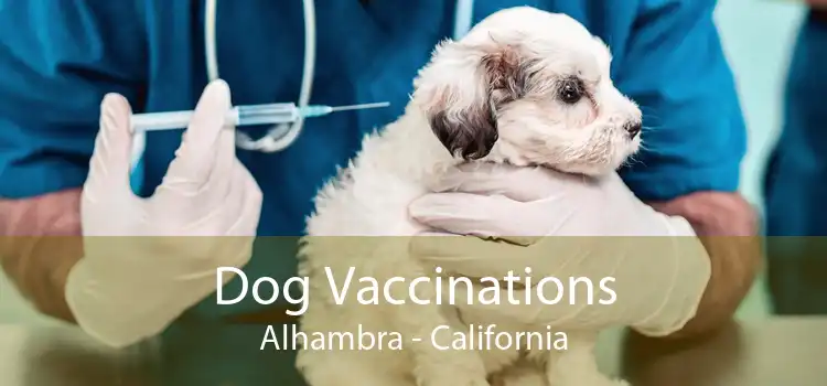 Dog Vaccinations Alhambra - California