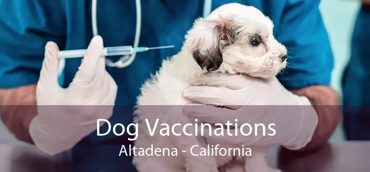 Dog Vaccinations Altadena - California