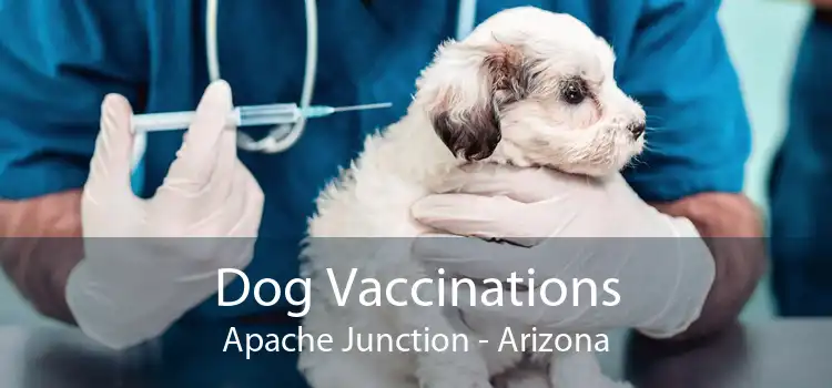 Dog Vaccinations Apache Junction - Arizona