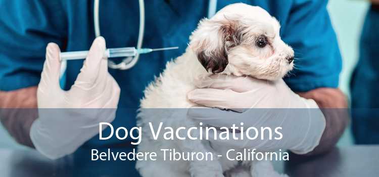 Dog Vaccinations Belvedere Tiburon - California
