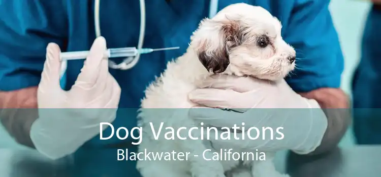 Dog Vaccinations Blackwater - California