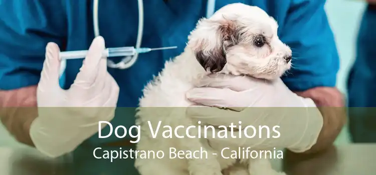 Dog Vaccinations Capistrano Beach - California