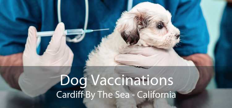 Dog Vaccinations Cardiff By The Sea - California