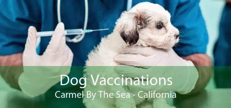 Dog Vaccinations Carmel By The Sea - California