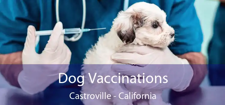 Dog Vaccinations Castroville - California