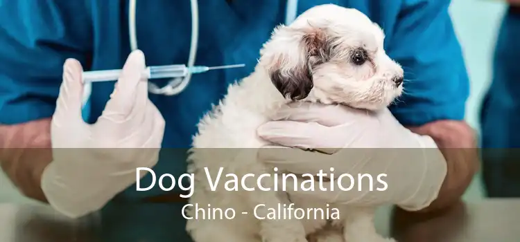 Dog Vaccinations Chino - California
