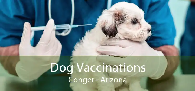 Dog Vaccinations Conger - Arizona