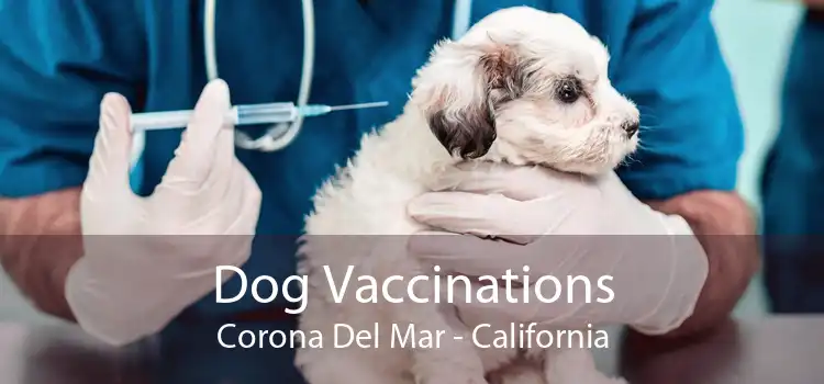 Dog Vaccinations Corona Del Mar - California