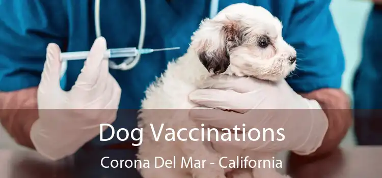 Dog Vaccinations Corona Del Mar - California