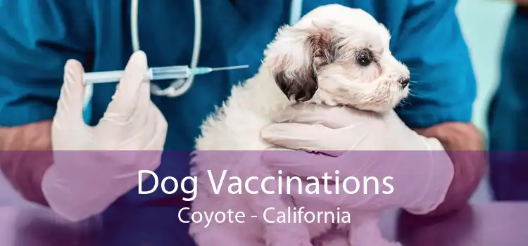Dog Vaccinations Coyote - California