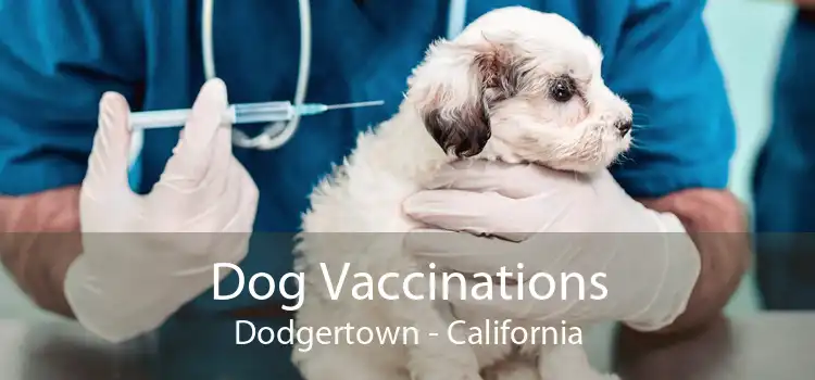 Dog Vaccinations Dodgertown - California