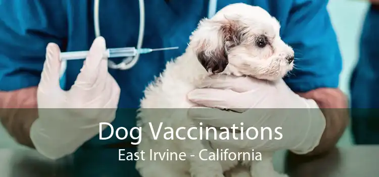 Dog Vaccinations East Irvine - California