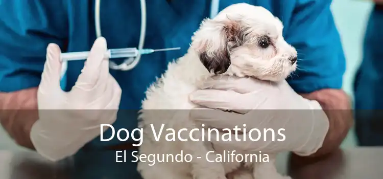 Dog Vaccinations El Segundo - California
