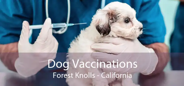 Dog Vaccinations Forest Knolls - California