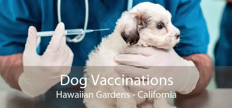 Dog Vaccinations Hawaiian Gardens - California
