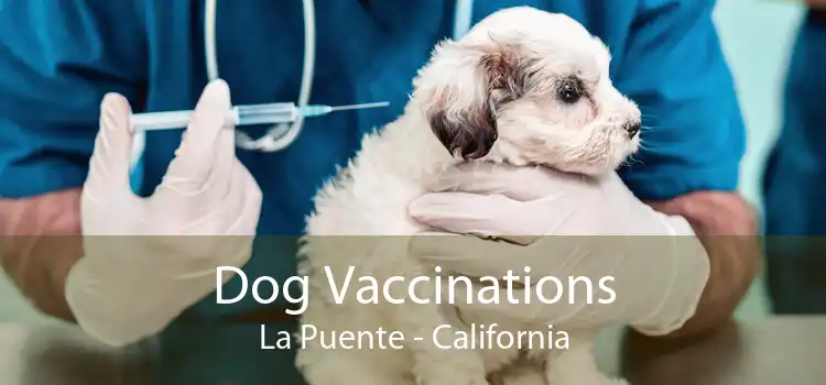 Dog Vaccinations La Puente - California