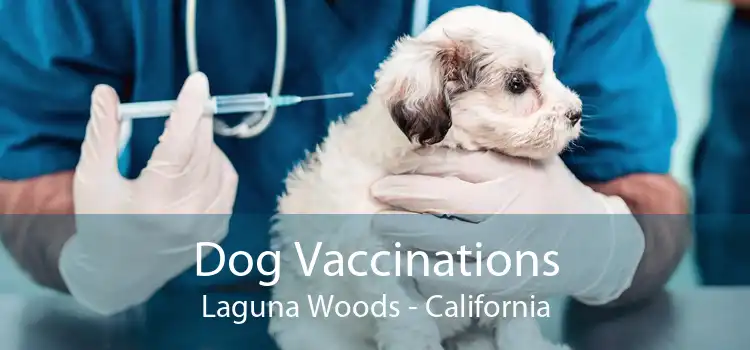 Dog Vaccinations Laguna Woods - California