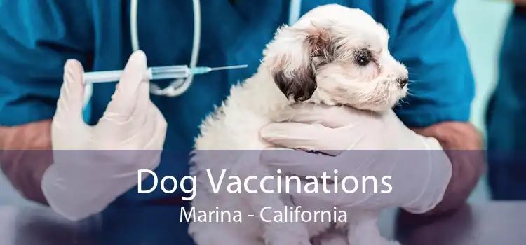 Dog Vaccinations Marina - California
